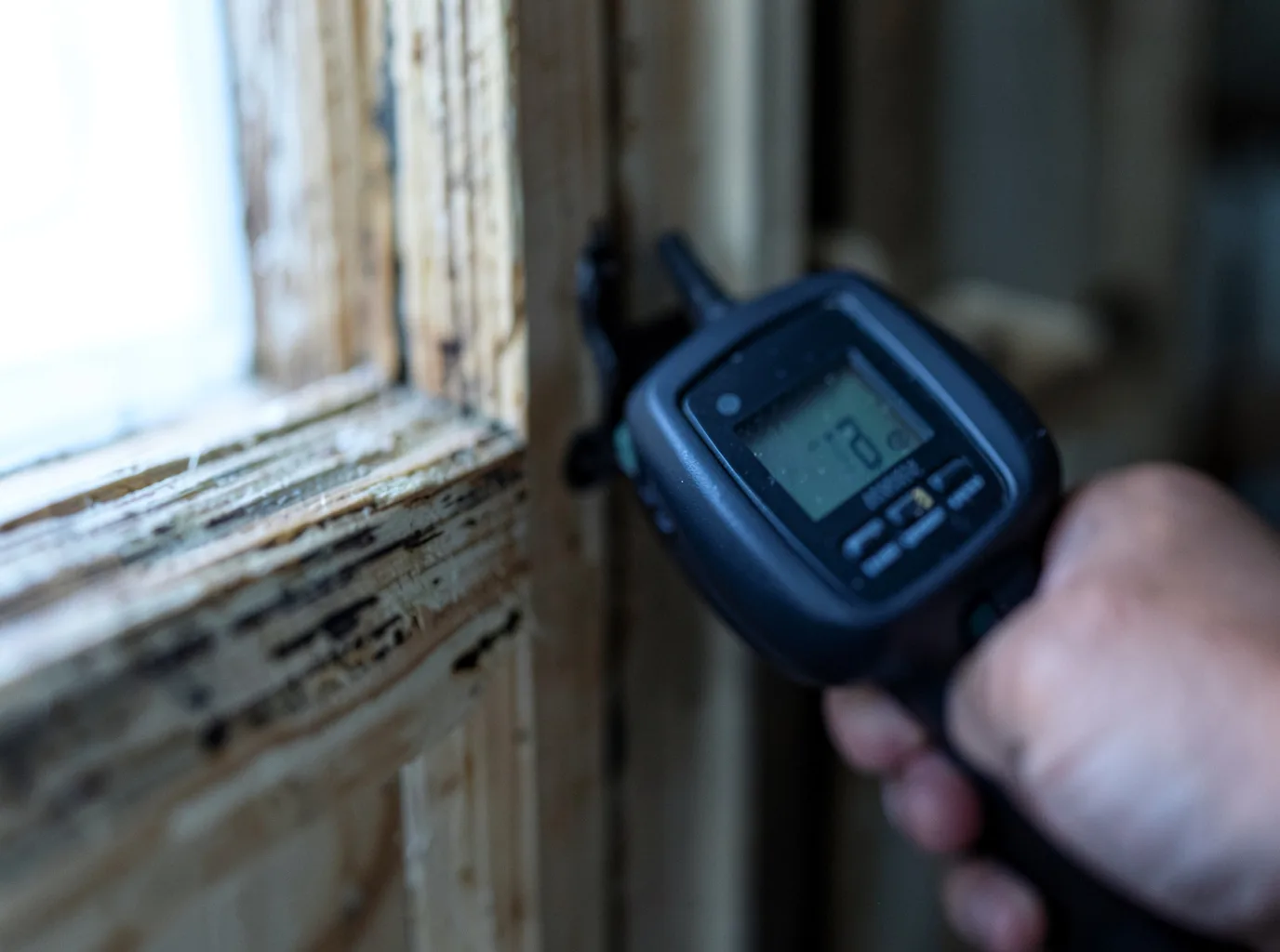 Moisture Inspection And Documentation in Farmington, WA